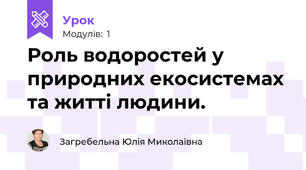 Роль водоростей у природних екосистемах та житті людини.