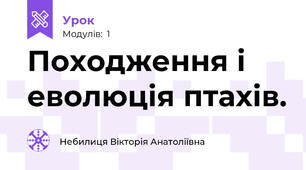 Походження і еволюція птахів.