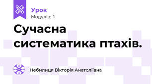 Сучасна систематика птахів.