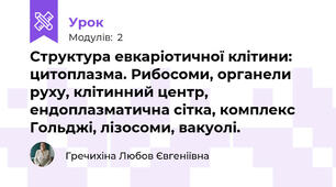 Структура евкаріотичної клітини: цитоплазма. Рибосоми, органели руху, клітинний центр, ендоплазматична сітка, комплекс Гольджі, лізосоми, вакуолі.
