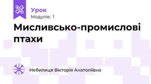 Мисливсько-промислові птахи