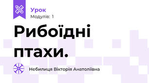 Рибоїдні птахи.