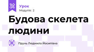 Будова скелета людини