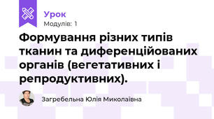 Формування різних типів тканин та диференційованих органів (вегетативних і репродуктивних).