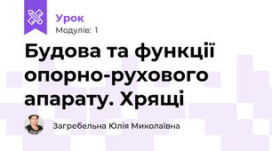 Будова та функції опорно-рухового апарату. Хрящі 
