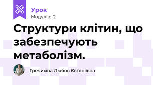 Структури клітин, що забезпечують метаболізм.