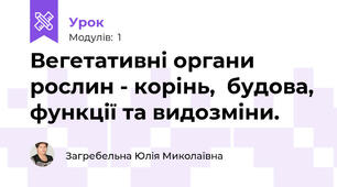 Вегетативні органи рослин - корінь,  будова, функції та видозміни.