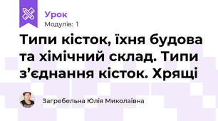 Типи кісток, їхня будова та хімічний склад. Типи з’єднання кісток. Хрящі