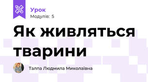 Як живляться тварини