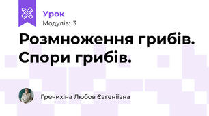 Розмноження грибів. Спори грибів.