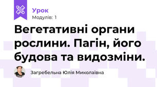 Вегетативні органи рослини. Пагін, його будова та видозміни.