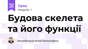 Будова скелета та його функції