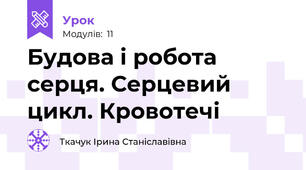 Будова і робота серця. Серцевий цикл. Кровотечі