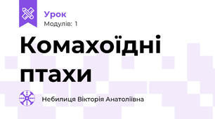 Комахоїдні птахи