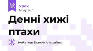 Денні хижі птахи