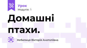 Домашні птахи.