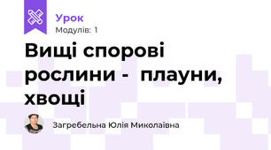 Вищі спорові рослини -  плауни, хвощі