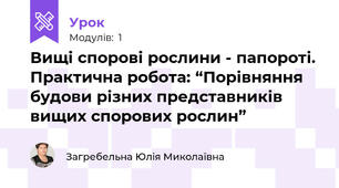 Вищі спорові рослини - папороті. Практична робота: “Порівняння будови різних представників вищих спорових рослин”
