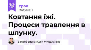 Ковтання їжі. Процеси травлення в шлунку.