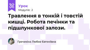 Травлення в тонкій і товстій кишці. Робота печінки та підшлункової залози.