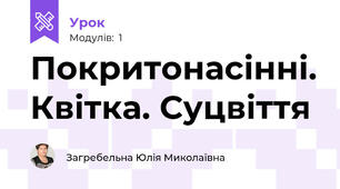 Покритонасінні. Квітка. Суцвіття