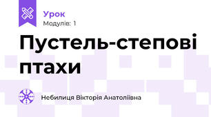 Пустель-степові птахи