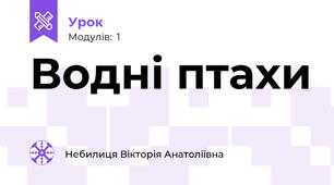Водні птахи