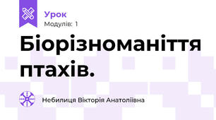 Біорізноманіття птахів.