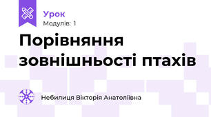 Порівняння зовнішньості птахів