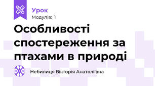 Особливості спостереження за птахами в природі