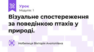 Візуальне спостереження за поведінкою птахів у природі.