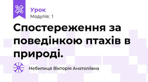 Спостереження за поведінкою птахів в природі.
