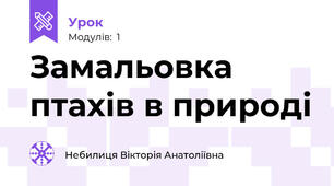 Замальовка птахів в природі