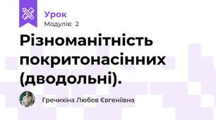 Різноманітність покритонасінних (дводольні).