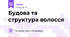 Будова та структура волосся