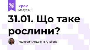 31.01. Що таке рослини?