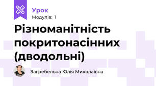 Різноманітність покритонасінних (дводольні)