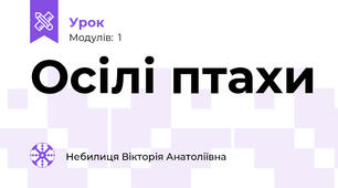 Осілі птахи