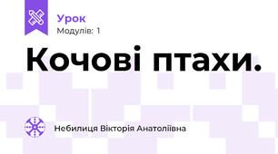 Кочові птахи.