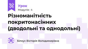 Різноманітність покритонасінних (дводольні та однодольні)