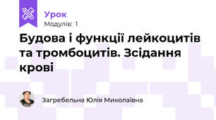 Будова і функції лейкоцитів та тромбоцитів. Зсідання крові