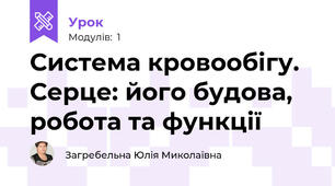 Система кровообігу. Серце: його будова, робота та функції