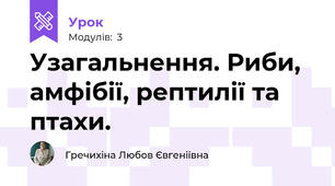 Узагальнення. Риби, амфібії, рептилії та птахи.