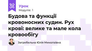 Будова та функції кровоносних судин. Рух крові: велике та мале кола кровообігу