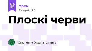 Плоскі черви