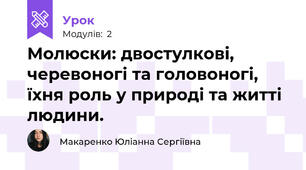 Молюски: двостулкові, черевоногі та головоногі, їхня роль у природі та житті людини.