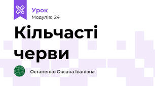 Кільчасті черви