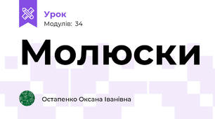 Молюски