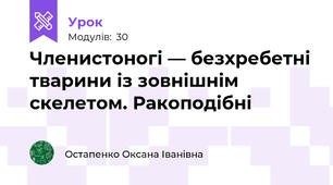 Членистоногі — безхребетні тварини із зовнішнім скелетом. Ракоподібні