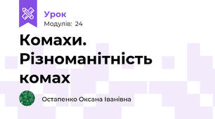 Комахи. Різноманітність комах